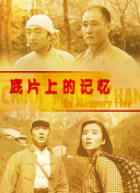 无毛网站